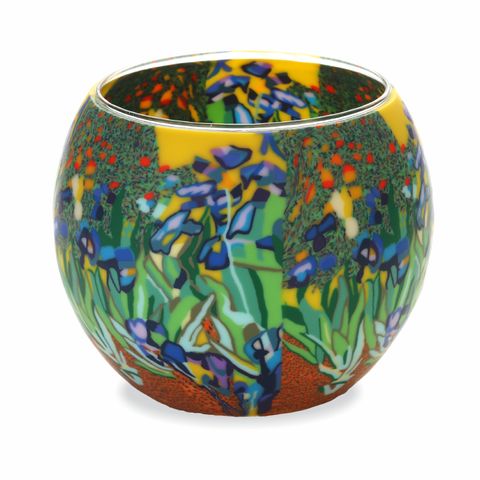 Van Gogh's Irises
