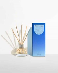 Mini Diffusers preview